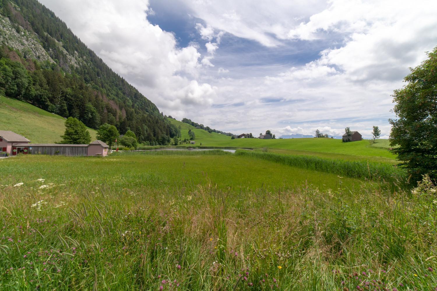 Wiesel Wildhaus Exterior photo